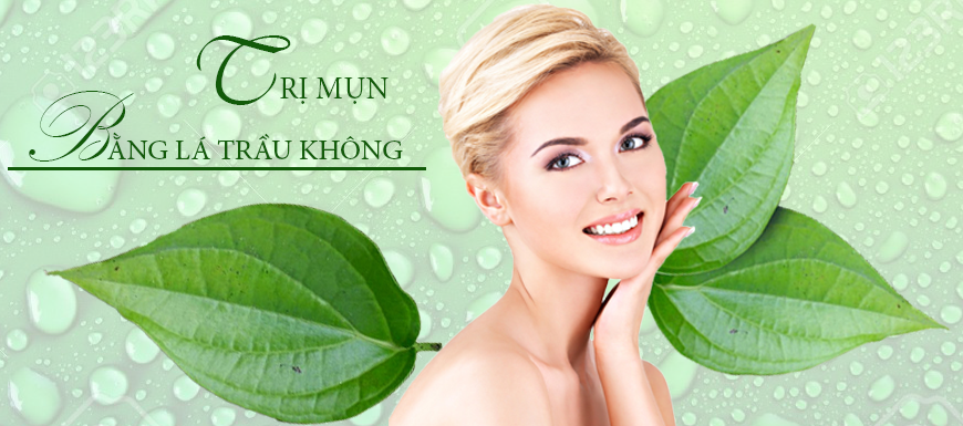 Trị mụn bằng lá trầu không